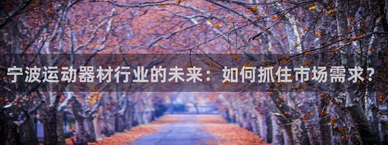 tp官方正版app官网：宁波运动器材行业的未来：如何