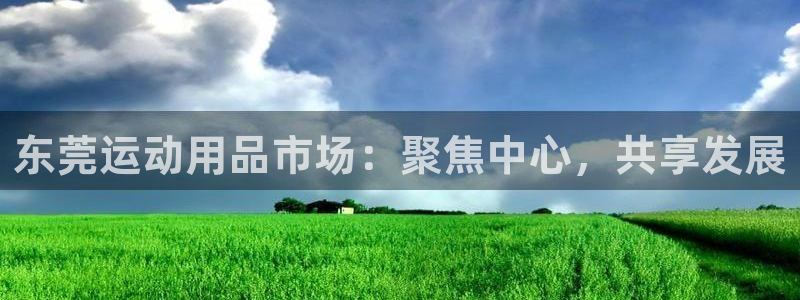 tpwallet官网下载平台假的吗是真的吗吗：东莞运