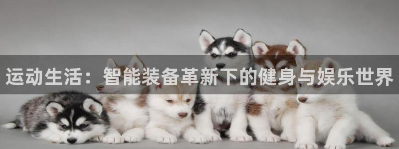 tpwallet官网下载平台APP：运动生活：智能装