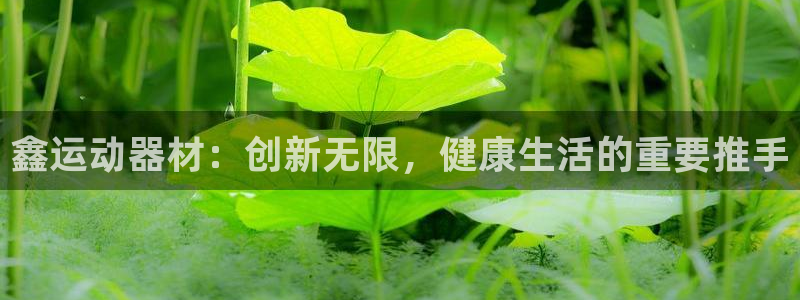 海南tpwallet官网下载：鑫运动器材：创新无限，