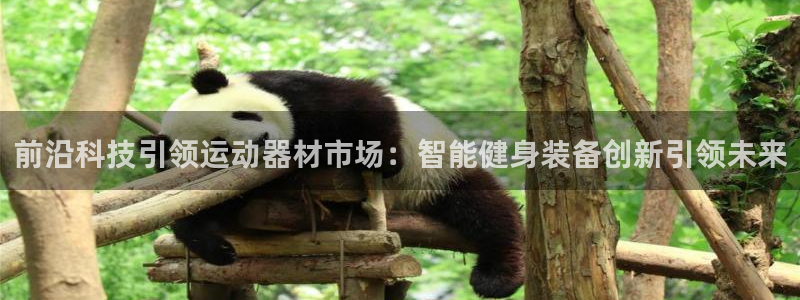 tp官方正版app科技：前沿科技引领运动器材市场：智