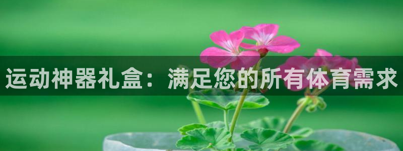 tpwallet官网下载平台假的吗是真的吗吗：运动神
