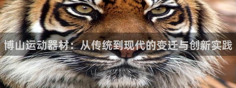 海南tpwallet官网下载发展怎么样