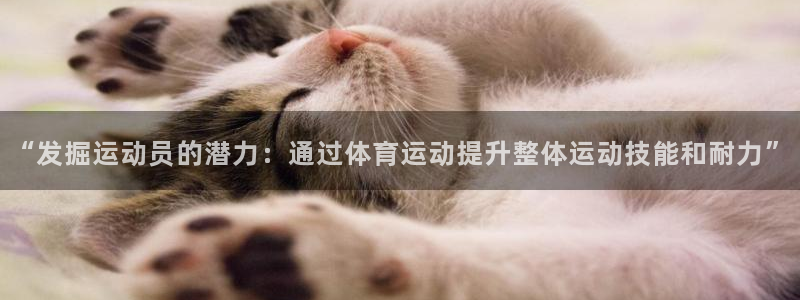 哈哈体育下载