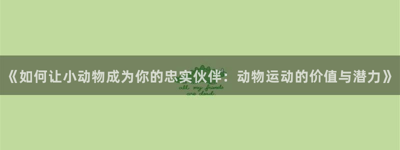 哈哈体育十年
