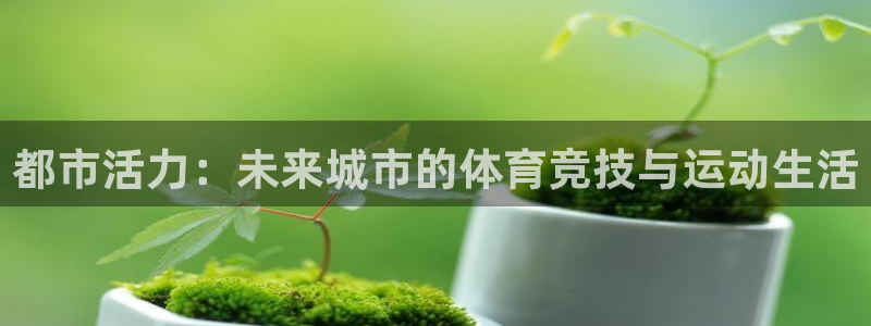 哈哈体育十年