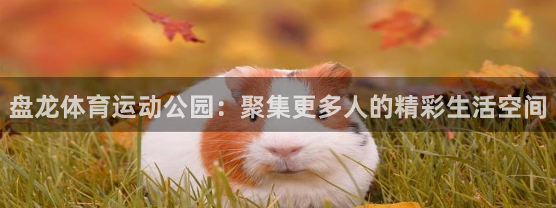哈哈体育下载