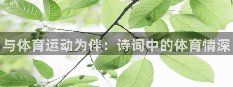 哈哈体育