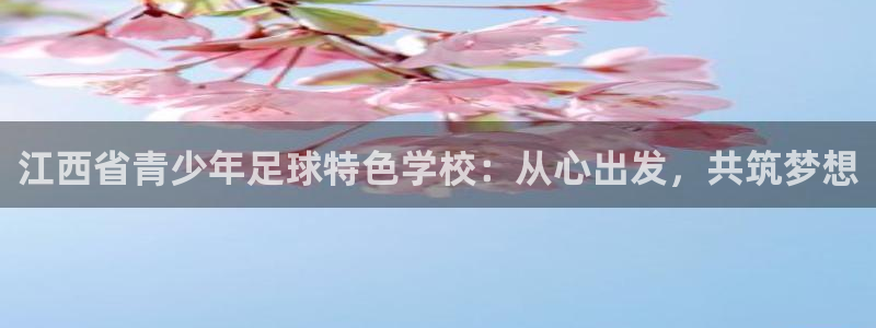 哈哈体育下载