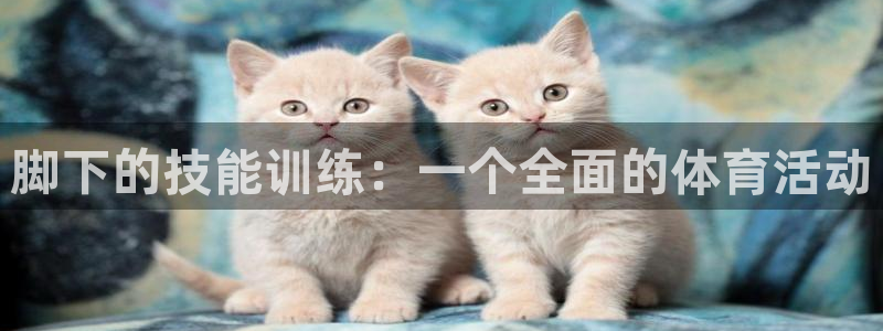 哈哈体育十年