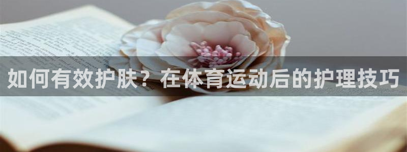 哈哈体育十年