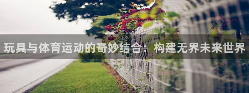 哈哈体育十年：玩具与体育运动的奇妙结合：构建无界未来世界
