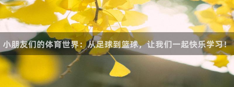 哈哈体育十年