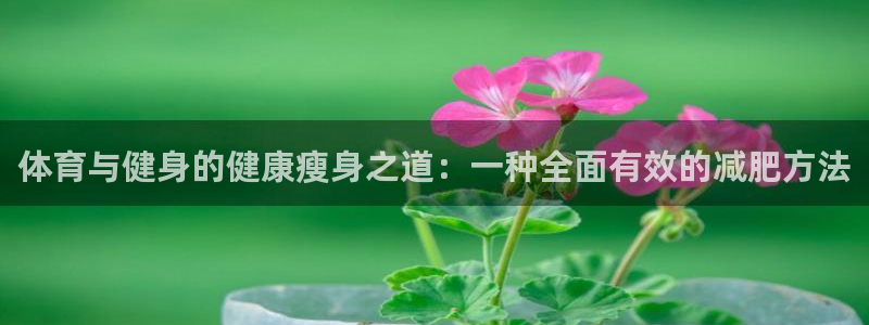 哈哈体育十年